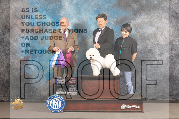 Bichon Frise #19 WED BOW OH Major Judge Joe Walton_MJ_2706_Houston_2022_HR3