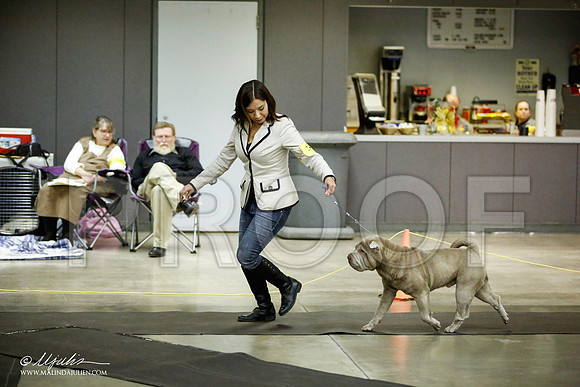 _JJ_5906-BeltonJan2015IABCA-HR3