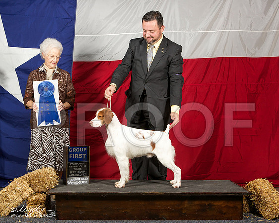 _ST_1391-AmarilloSep2014-HR3