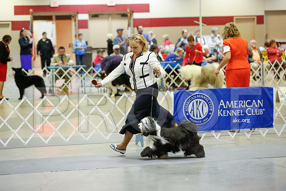 _JJ_8165-AmarilloSept2014-HR3