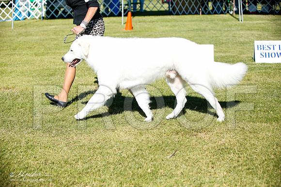 _JJ_6221-AlamogordoOct2014-HR3