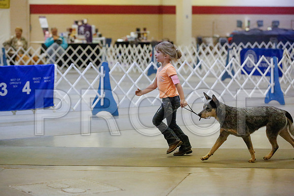 _JN_8919-AmarilloSept2014-HR3