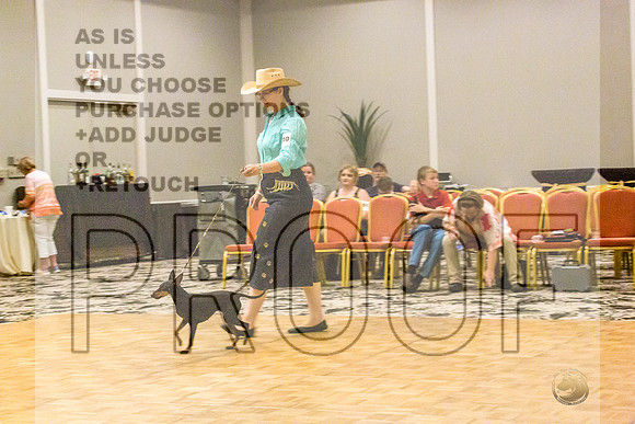 Manchester Terrier MTOY Candids-JJL_2078-Hstn2022_HR3