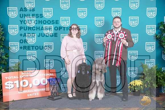 Poodle Std MC TD__JP_2918_UKCTDI2024_HR3