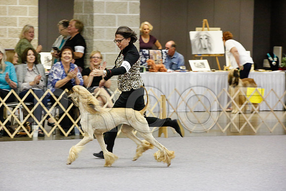 _JJ_8108-AfgBeltonOct2014-HR3