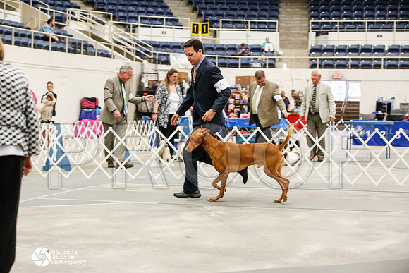 _JJ_0098-AblnMay2014-web