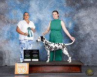 Jalyn Raley UKC Longview TX Aug 2025