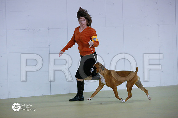 Box-6016-HtoJan14-HR