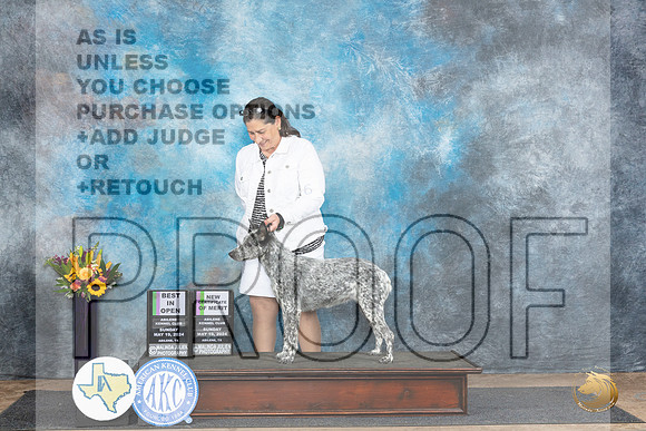 Australian Stumpy #6 Sun BIOSCM Judge Edy Dykstra-Blum__JP_0040_Abilene_2024_HR3