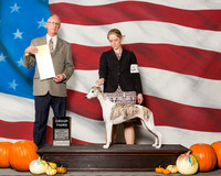 Whippets #12 Sat G3 Bahm Deborah Agent Ashlie Whitmore Judge Mr Allen L Odom