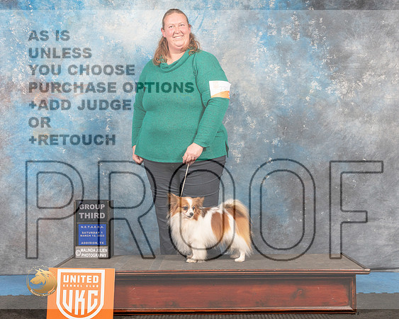 Papillon #238 Sat1 G3 Judge Tracey Kallas_MMJ_6467_Addison2022_HR3