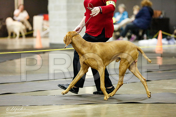 _RH_1192-BeltonJan2015IABCA-HR3