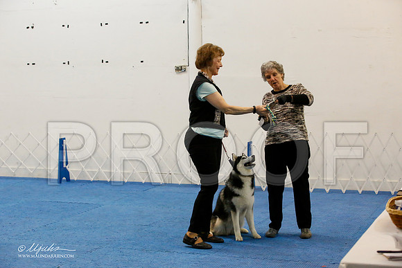 _M3_8056-AddisonHuskyMar2015-HR3