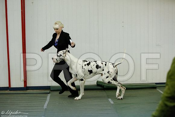 _MJ_4286-DentonMar2015-HR3