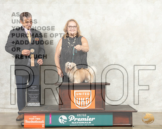 Mi-Ki #? Thur AOE Judge Antonio Raposo__MJ_7291_Premier_2022_HR3