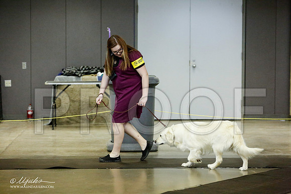 _RH_1018-BeltonJan2015IABCA-HR3