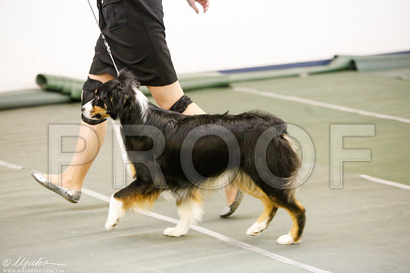 _MJ_4947-DentonMar2015-HR3