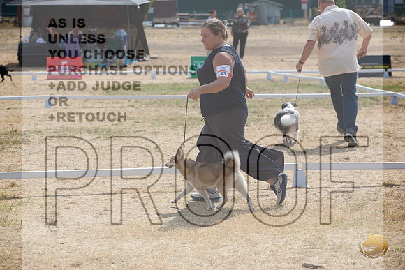 Ringside Longview WA 2024 Alaska Klee Kai #333_JJL_3547_Longview WA_2024_HR3
