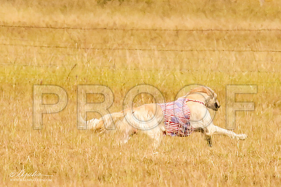 _MJ_4775-AfgBeltonOct2014-HR3