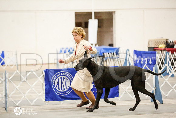 _RH_4809-AblnMay2014-web