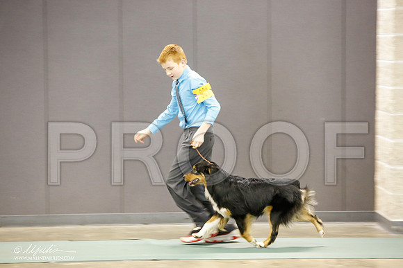 _JN_1326-BeltonJan2015-HR3