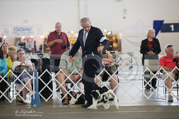 _JJ_3279-DallasJul2014-HR3
