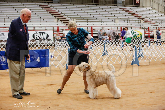 _JJ_8233-TxArJun2014-HR3