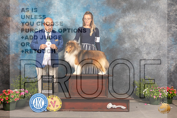 Shetland Sheepdog #11 Sat G4 Judge Michael Canalizo_MJ_0545_SA_2022_HR3