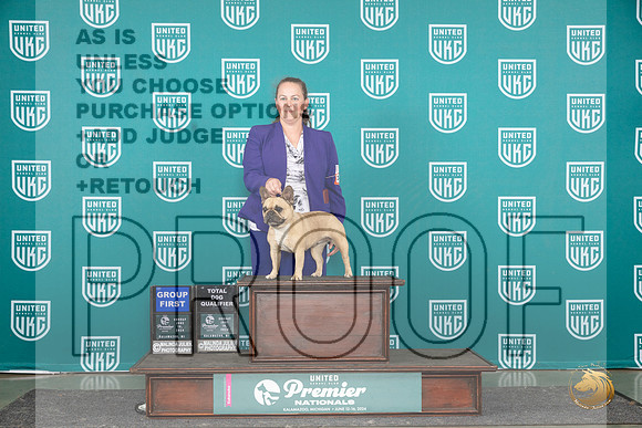 French Bulldog #1473 Sun G1TD Judge Stephanie Mueller__JP_3203_Premier_2024_HR3