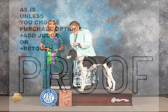 Saluki #20 WED AOM WB Judge Sharon Kinney_MJ_2180_Houston_2022_HR3