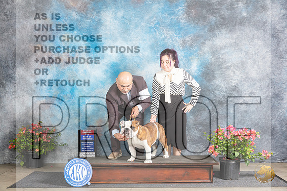 Bulldog #5 WDBOWBOS Fri Polly D Smith__JP_3909_San Antonio_2024_HR3