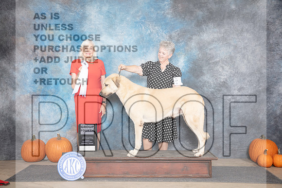 Anatolian Shepherd #7 Sun G4 Judge Jan Paulk__JP_9681_Humble_2024_HR3