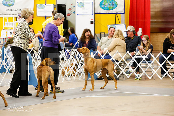 _JJ_8898-FWKCMar2015-HR3