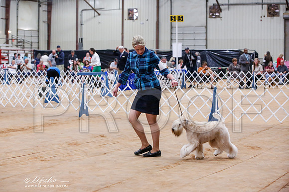 _JJ_8219-TxArJun2014-HR3