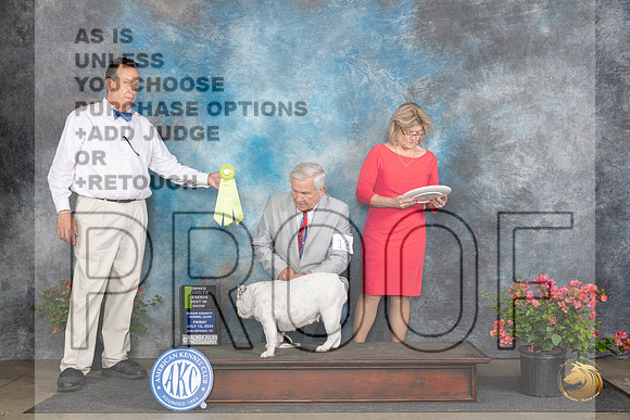 Bulldog #12 Fri OHRBIS Judge Elizabeth ‘Beth’ Sweigart__JP_4595_San Antonio_2024_HR3