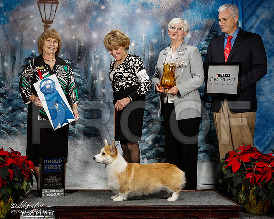 _ST_8793-2-DallasDec2014-HR3