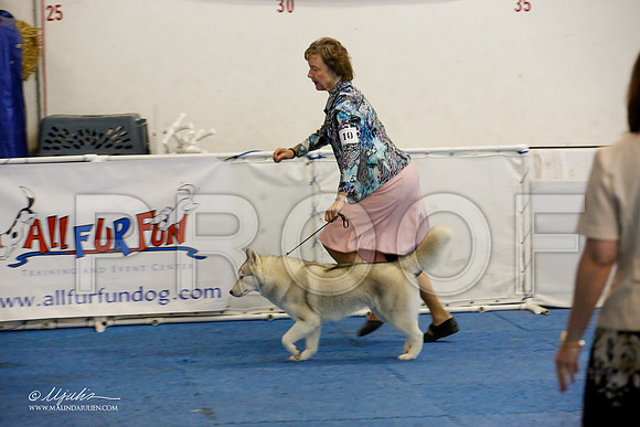 _M3_0696-AddisonHuskyMar2015-HR3