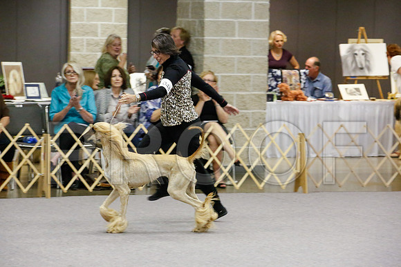 _JJ_8109-AfgBeltonOct2014-HR3
