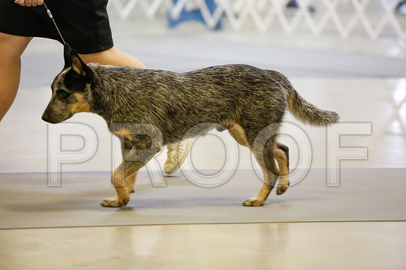 _JJ_2797-AmarilloSept2014-HR3