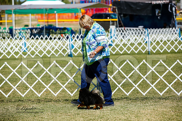 _JJ_3633-AlamogordoOct2014-HR3