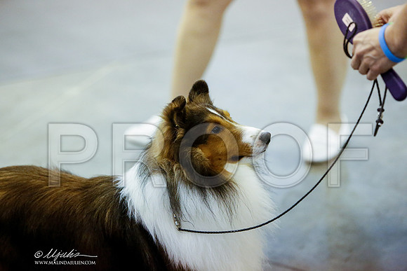 _JN_0961-HstnJul2014-HR3