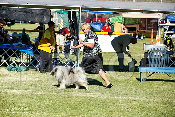 _JN_9669-AlamogordoOct2014-HR3