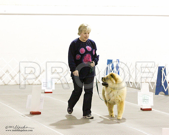 Beg Nov B Sat-8154