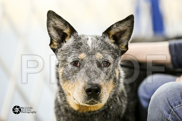 ACD-9279-HtoJan14-HR
