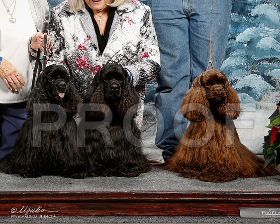 _ST_8916-2-DallasDec2014-HR3