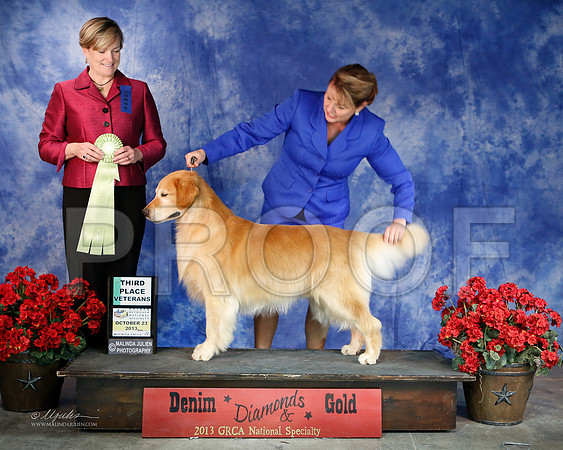 SweepsVet-6393-WFOct2013-HR