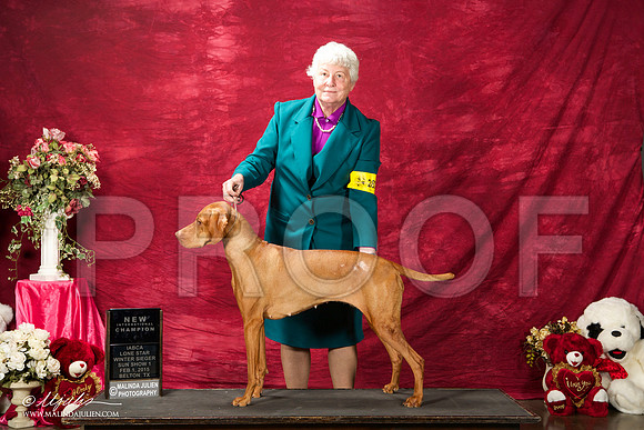 _ST_2912-BeltonJan2015IABCA-HR3