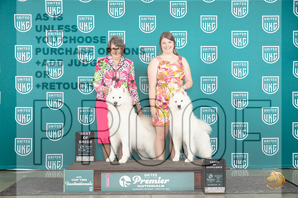 Samoyed #531 $462 Thur T10BOB AOE Judge Rick Gan__JP_0911_Premier_2024_HR3
