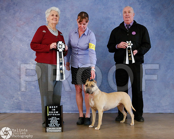 APBT-8046-Waco14-HR