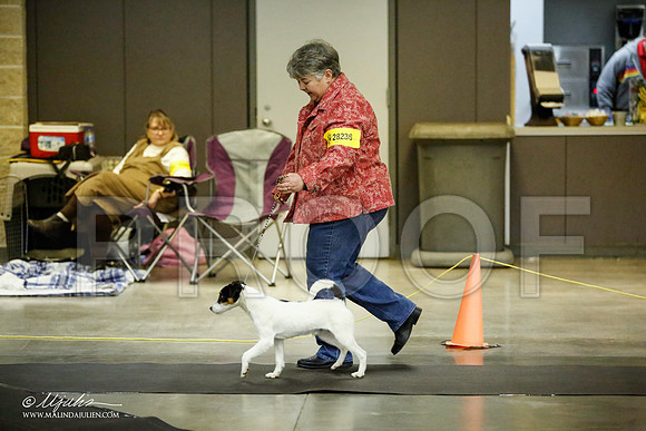 _JJ_5982-BeltonJan2015IABCA-HR3